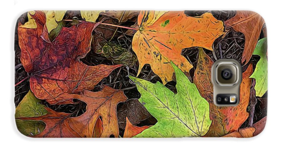 Early October Leaves 3 - Phone Case
