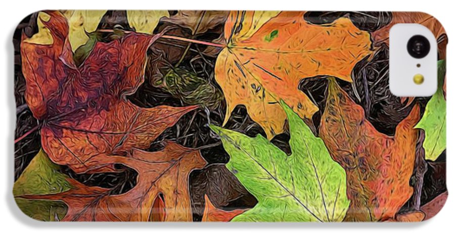 Early October Leaves 3 - Phone Case
