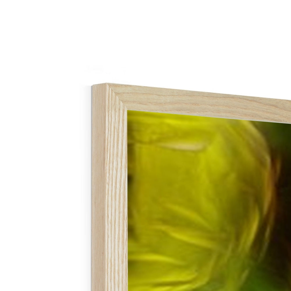 Abstract Yellow Daffodils Framed Print