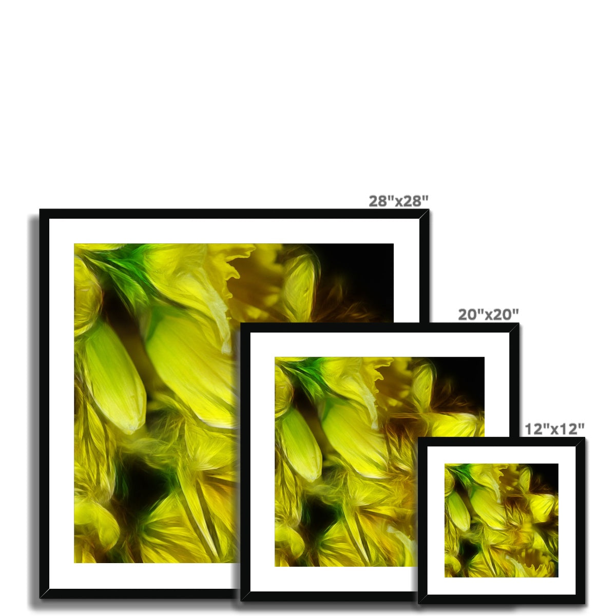 Abstract Yellow Daffodils Framed & Mounted Print