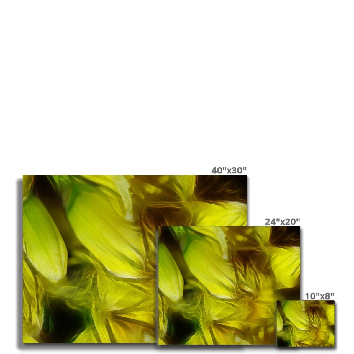 Abstract Yellow Daffodils Canvas