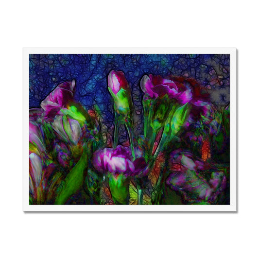Abstract Pink Carnations Framed Print