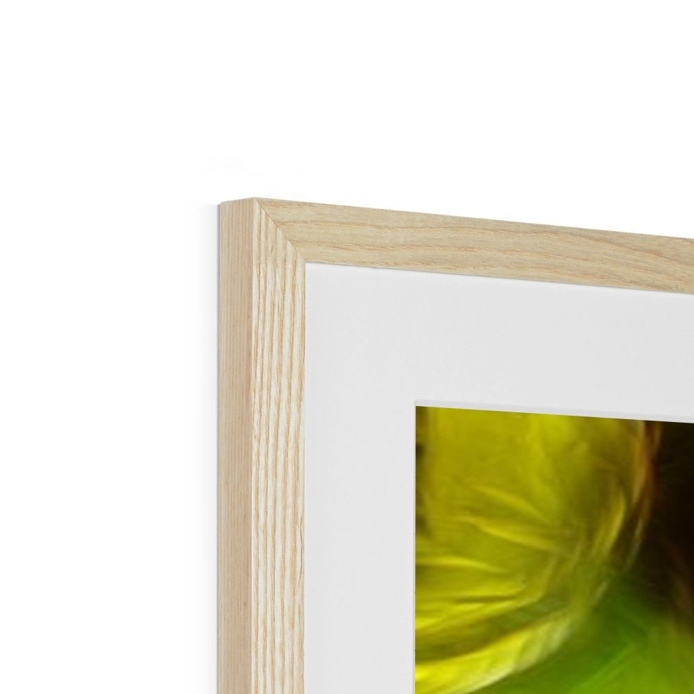 Abstract Yellow Daffodils Framed & Mounted Print
