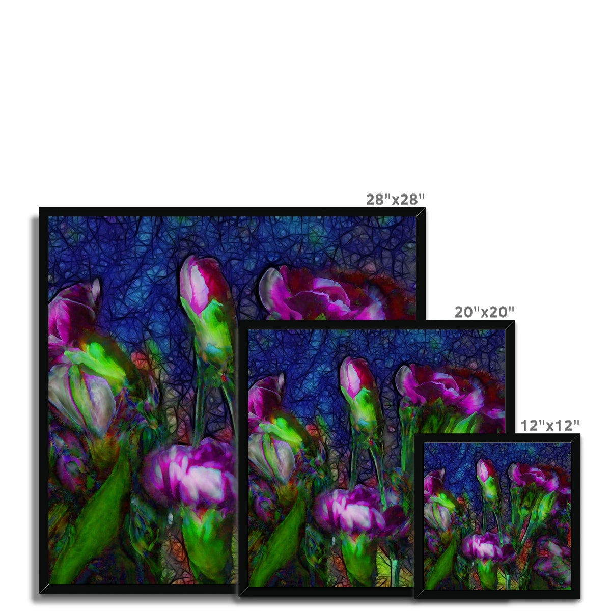 Abstract Pink Carnations Framed Print