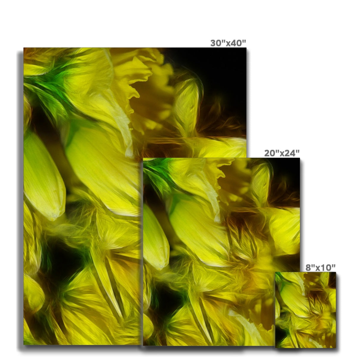 Abstract Yellow Daffodils Canvas