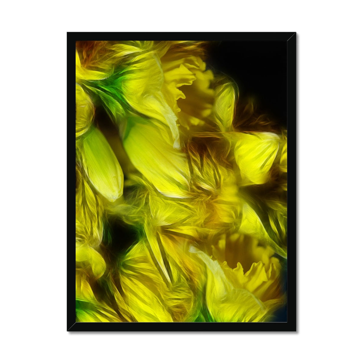 Abstract Yellow Daffodils Framed Print