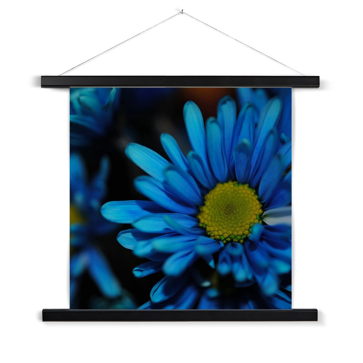 Blue Daisy Fine Art Print with Hanger