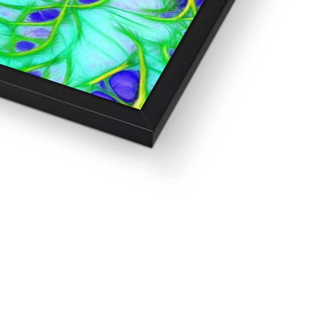 Abstract Peacock Chrysanthemum Framed Print