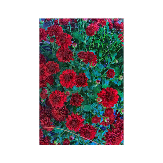 Red Mums Hahnemühle Photo Rag Print