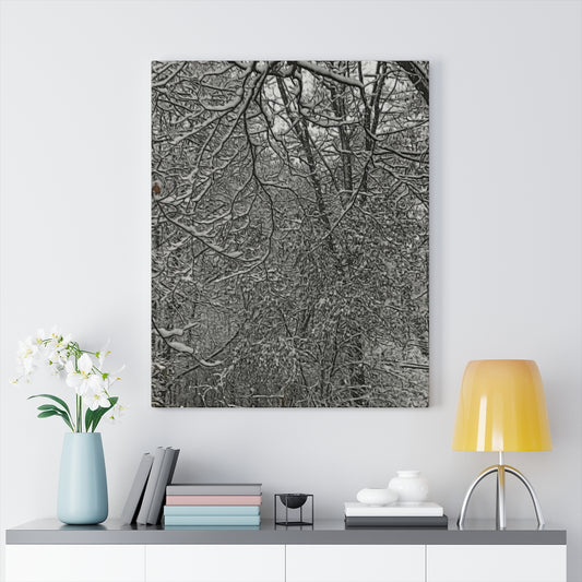 First Winter Snow Stretched Canvas