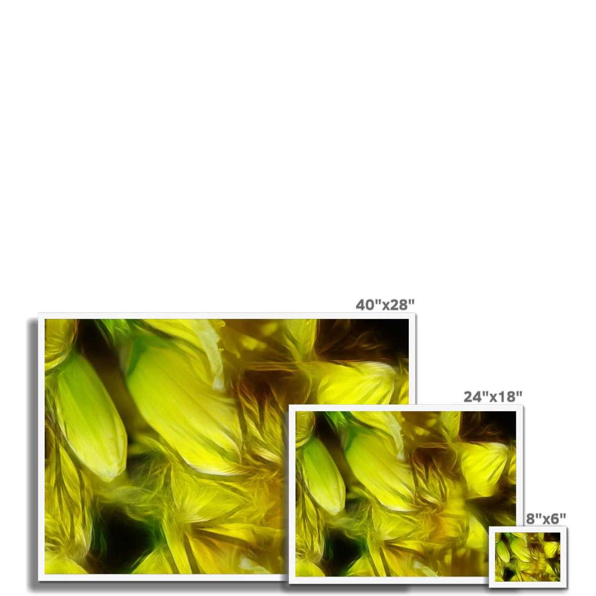 Abstract Yellow Daffodils Framed Print