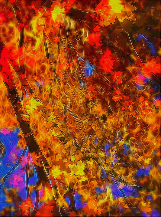 Fall Bokeh Highlights Digital Image Download