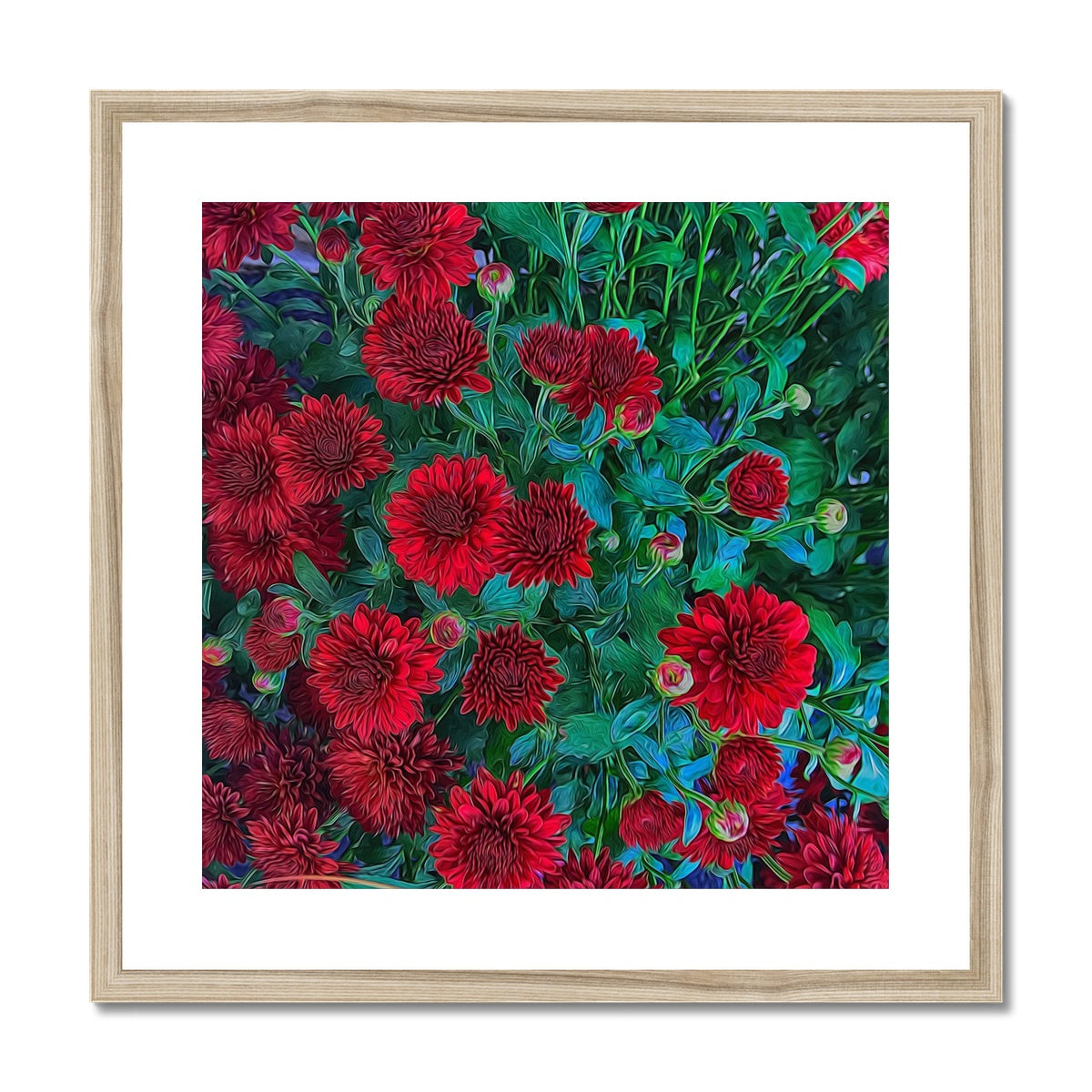 Red Mums Framed & Mounted Print