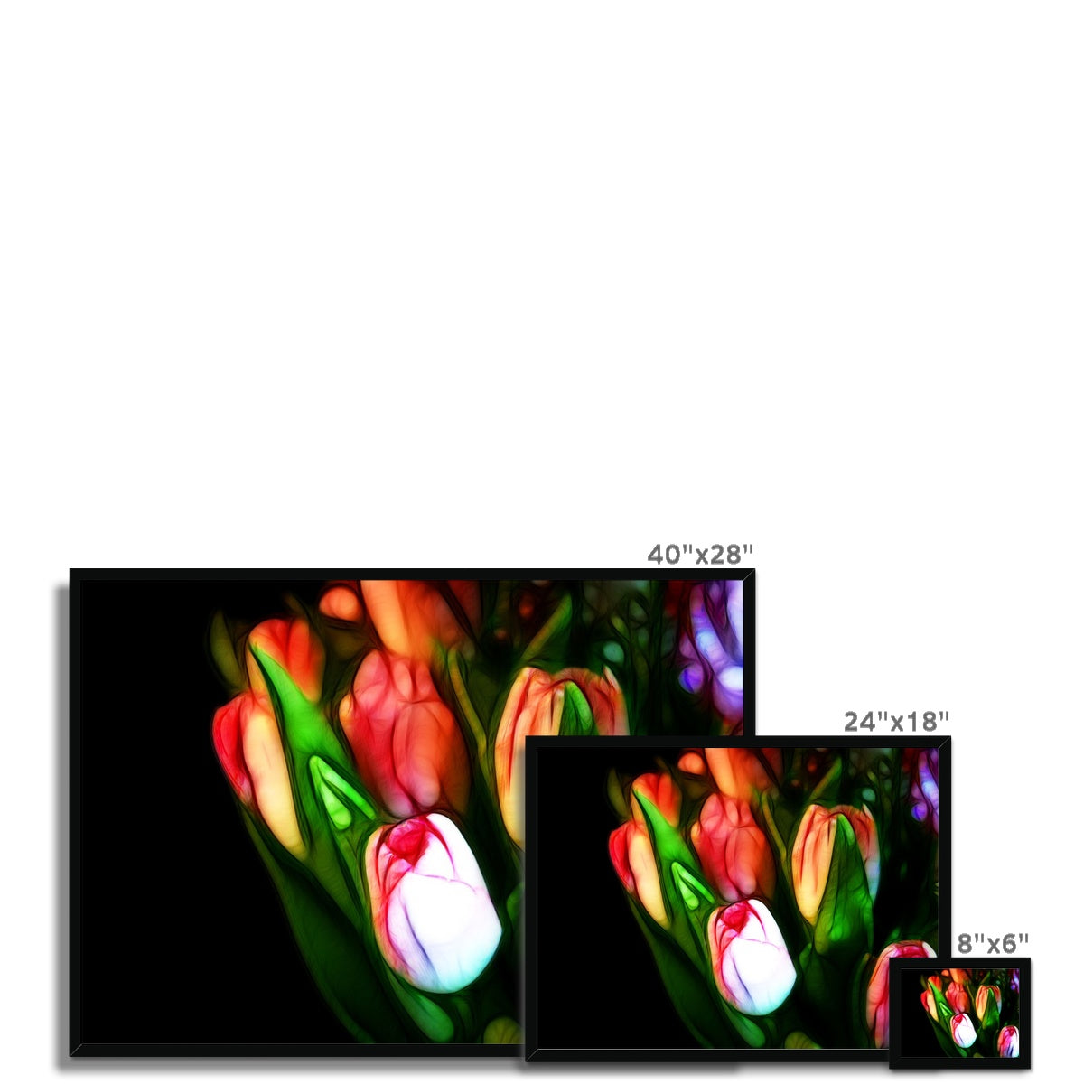 Pink Tulips Framed Print