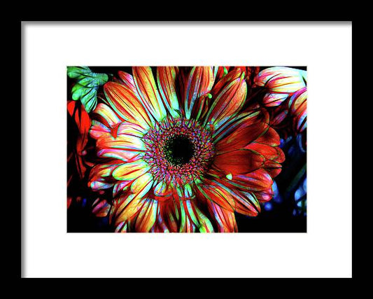Flowers 133 - Framed Print