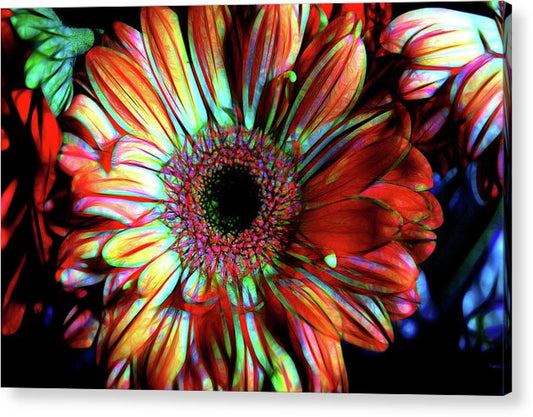Flowers 133 - Acrylic Print