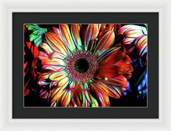 Flowers 133 - Framed Print