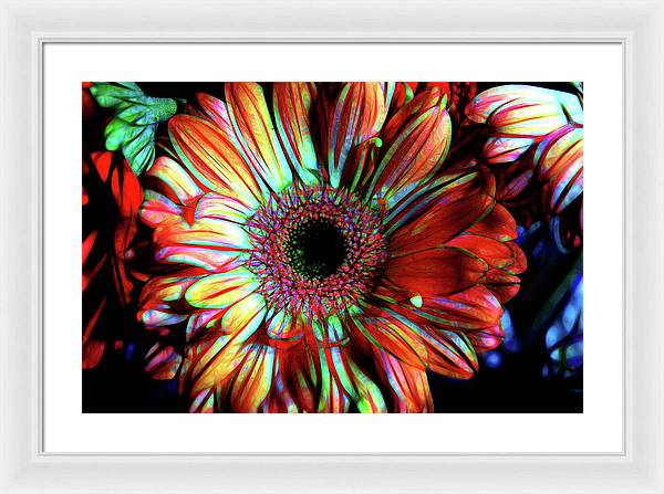 Flowers 133 - Framed Print