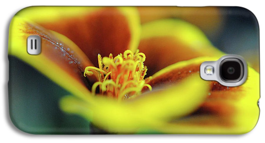 Flowers 177 - Phone Case