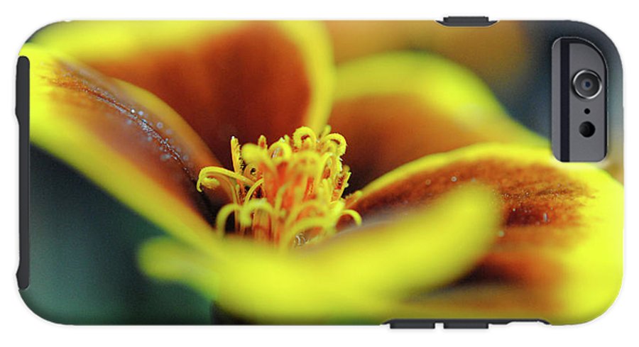 Flowers 177 - Phone Case