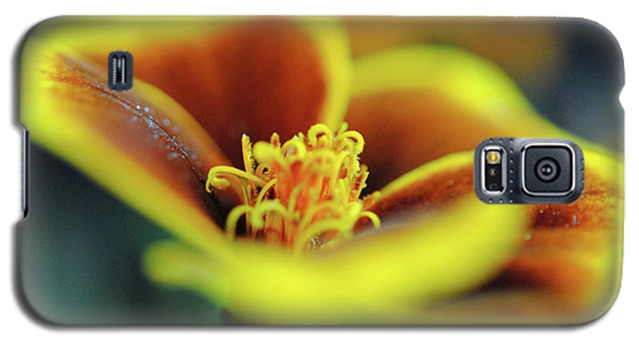 Flowers 177 - Phone Case