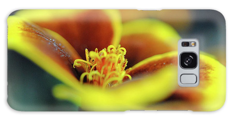 Flowers 177 - Phone Case