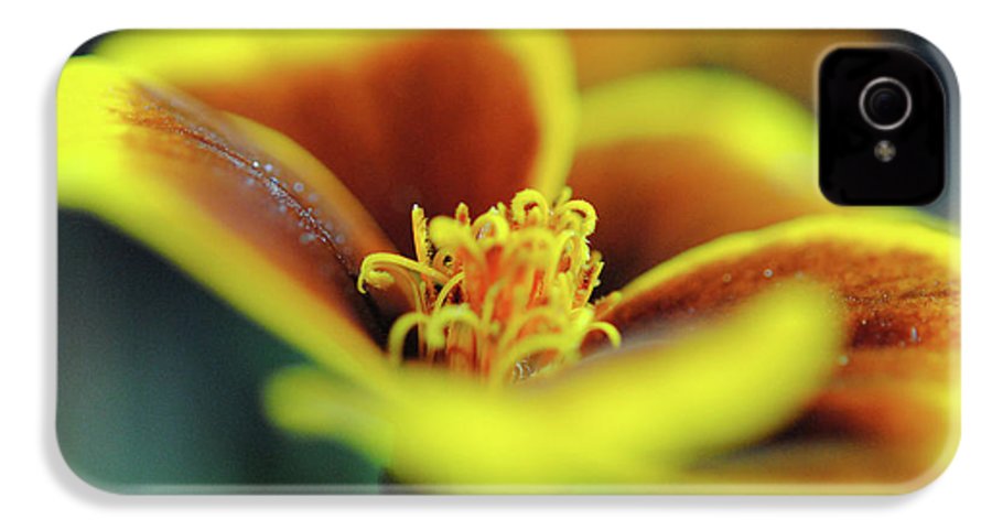 Flowers 177 - Phone Case