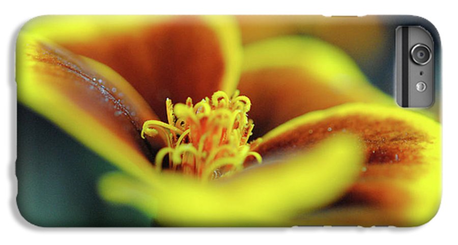 Flowers 177 - Phone Case