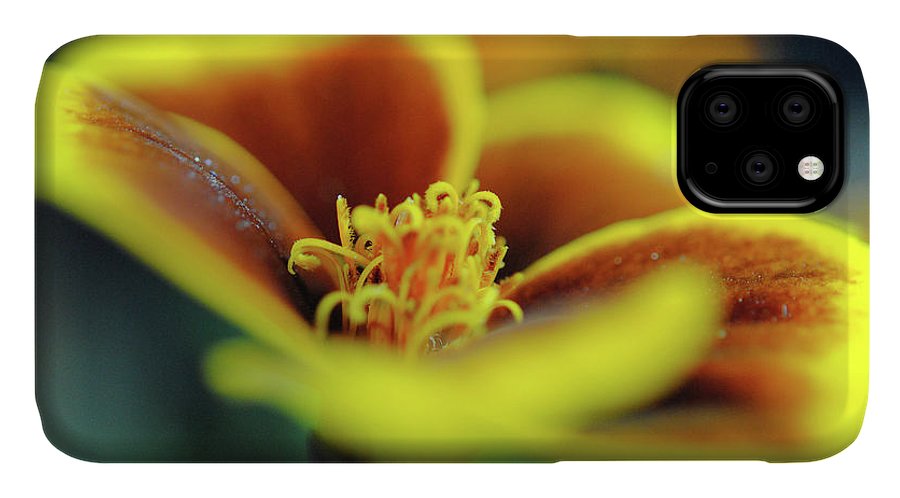 Flowers 177 - Phone Case