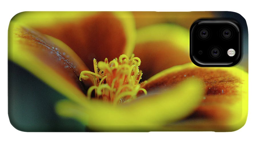 Flowers 177 - Phone Case