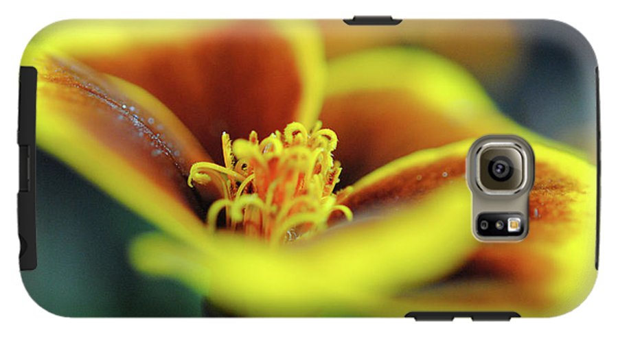 Flowers 177 - Phone Case