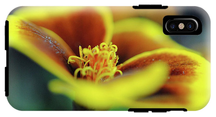 Flowers 177 - Phone Case