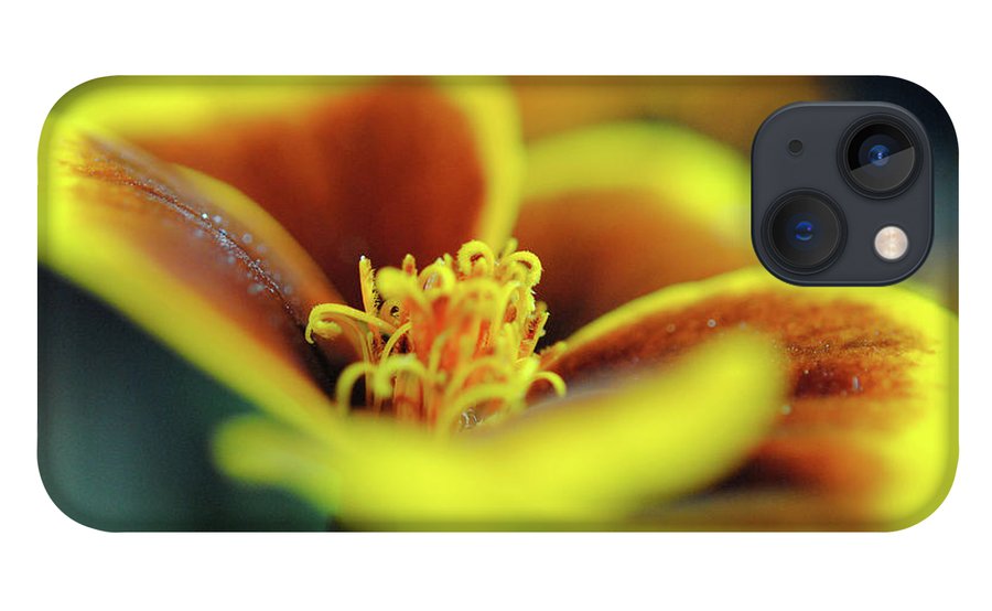 Flowers 177 - Phone Case