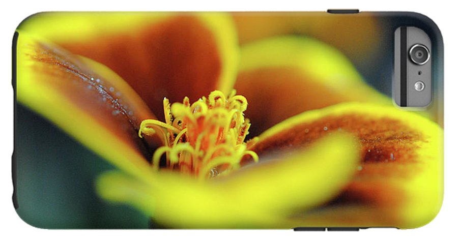 Flowers 177 - Phone Case