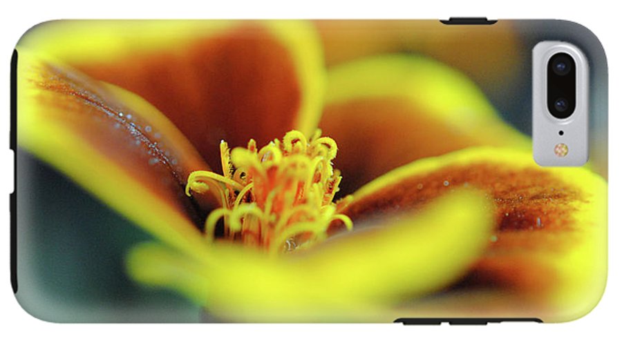 Flowers 177 - Phone Case