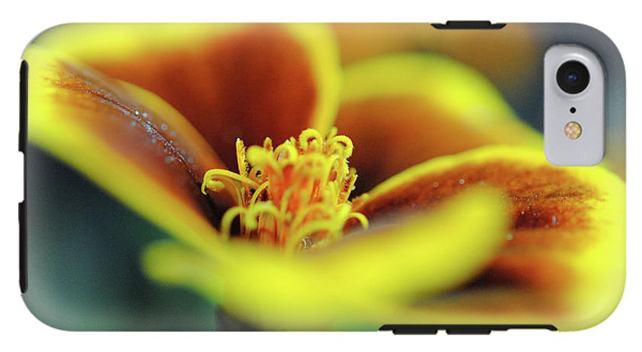 Flowers 177 - Phone Case