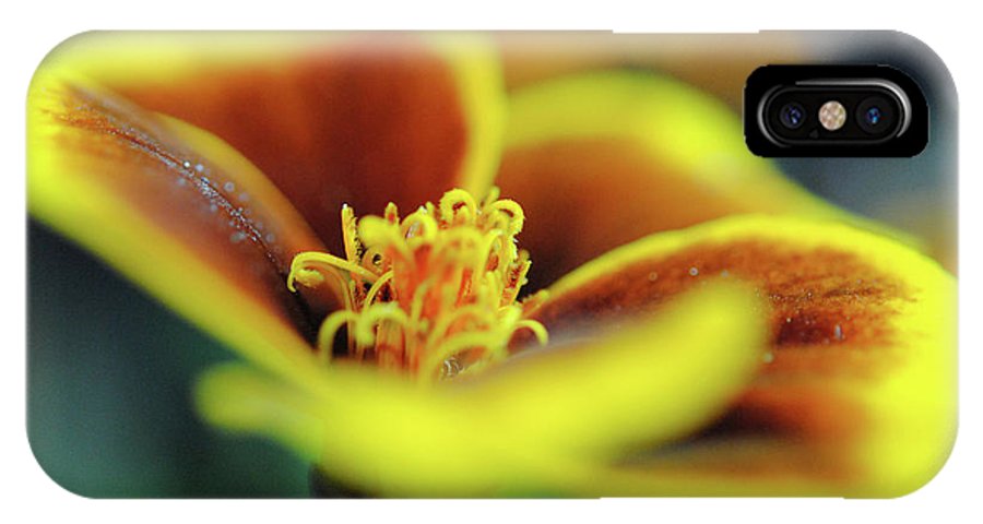 Flowers 177 - Phone Case