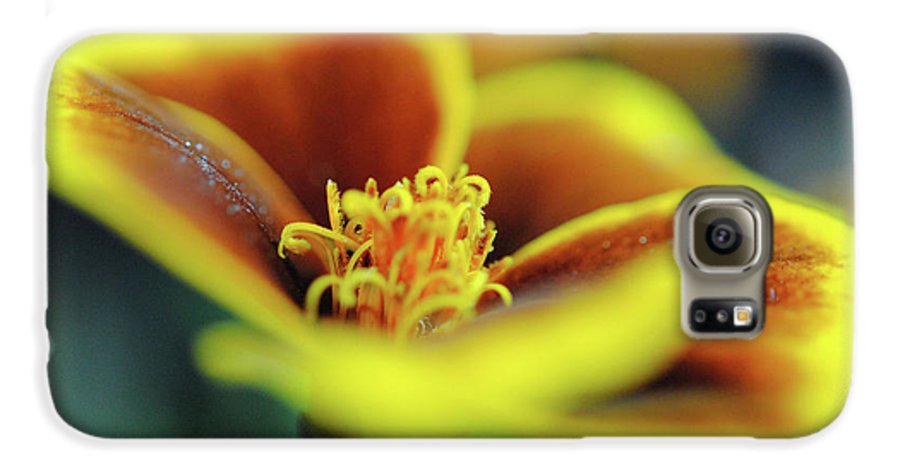 Flowers 177 - Phone Case
