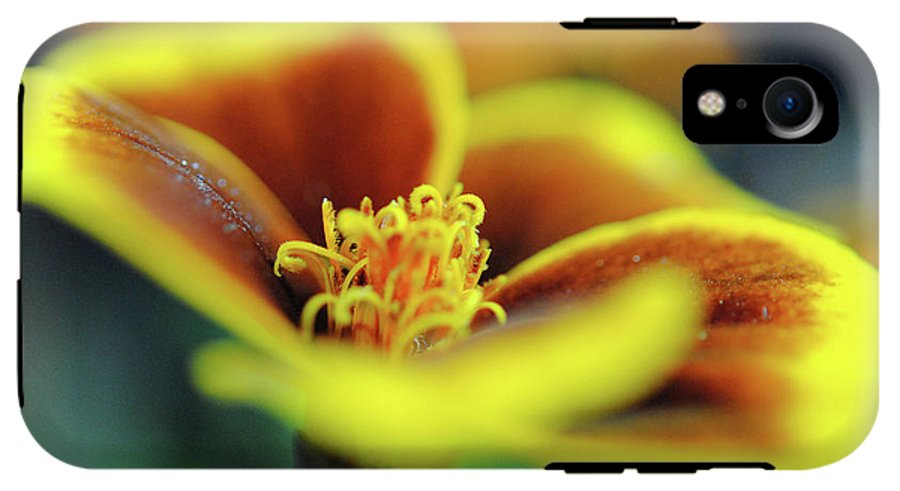 Flowers 177 - Phone Case