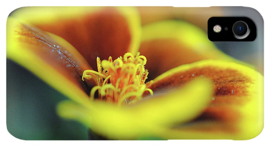 Flowers 177 - Phone Case