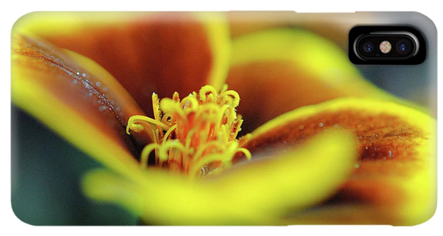 Flowers 177 - Phone Case