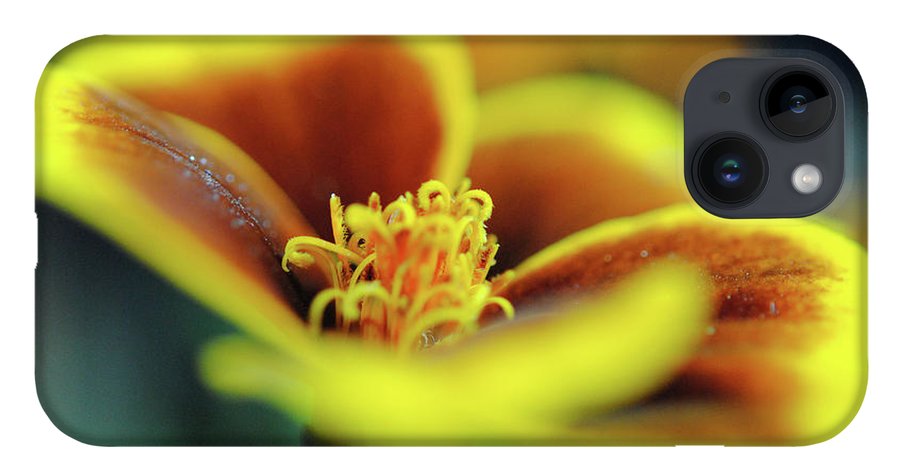 Flowers 177 - Phone Case