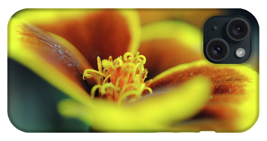 Flowers 177 - Phone Case