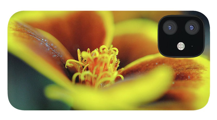 Flowers 177 - Phone Case