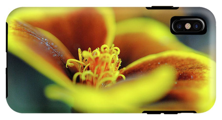 Flowers 177 - Phone Case