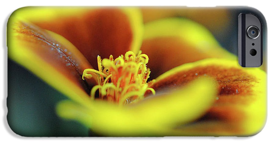 Flowers 177 - Phone Case