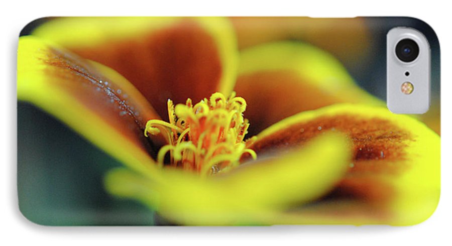 Flowers 177 - Phone Case