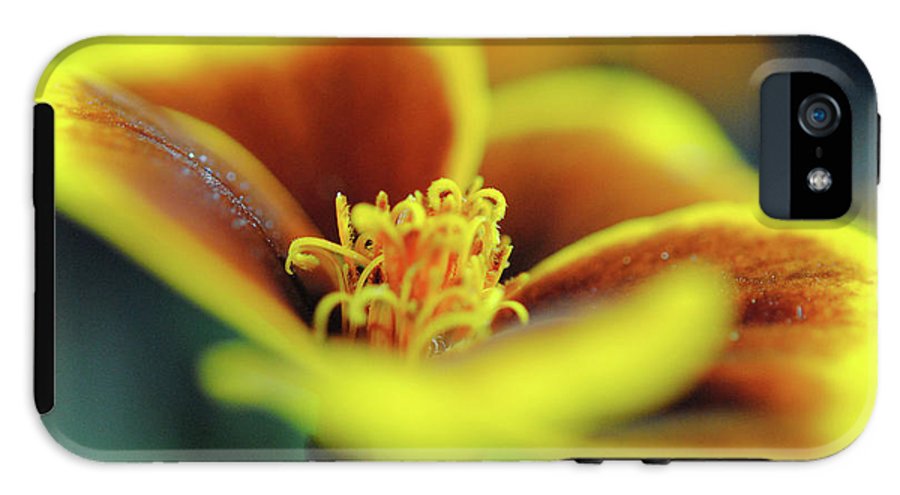 Flowers 177 - Phone Case