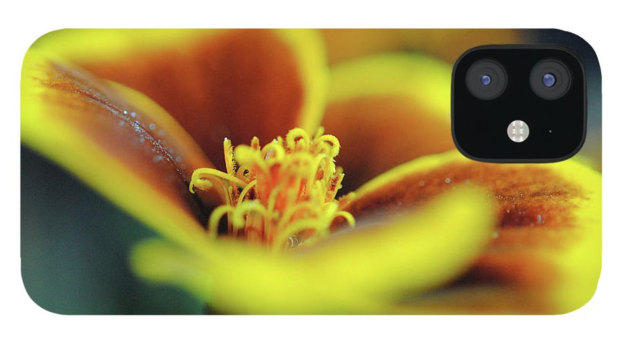 Flowers 177 - Phone Case