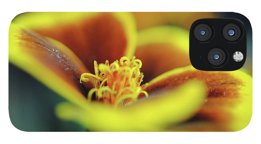 Flowers 177 - Phone Case